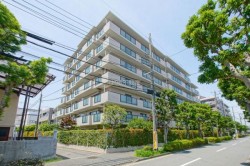 ■JR総武・中央緩行線「新小岩」駅　徒歩16分
■南向き・専用庭
■スーパー、コンビニなどの買い物施設まで徒歩10分圏内につき、買い物に便利です