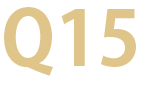 Q15画像