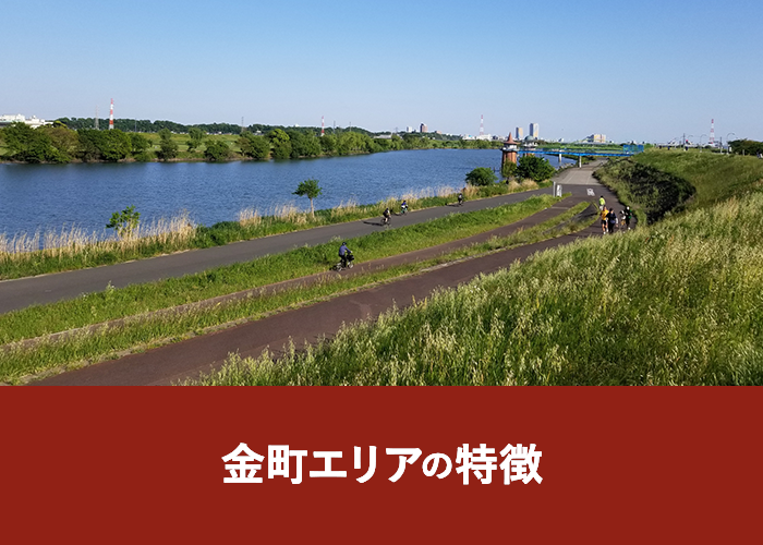 金町エリアの特徴